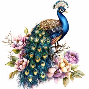 24 JPEG floral paon - élégant oiseau JPG clipart - art animalier exotique pour décoration murale, impression botanique vintage, téléchargement de conception de plume