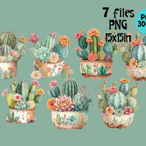 Cactus Pot Clipart Watercolor Flowers PNG - Etsy