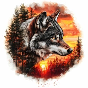 24 JPEG Majestic Wolf-clipart - Lone Wolf in Forest bij zonsondergang, Wildlife Art, natuurillustratie, digitale JPG-download