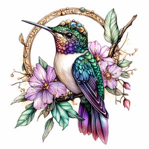 20 Clipart colibri orné de bijoux JPG avec cadre floral, oiseau aquarelle coloré JPEG, art de la nature élégant, téléchargement numérique instantané
