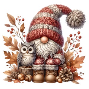 18 simpatici gnomi autunnali PNG, clipart di gufo del bosco, arte di sublimazione autunnale, download digitale di gnomi rustici