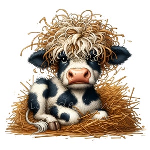 15 PNG Carino mucca dai capelli ricci Clipart PNG – Vitello in paglia Download digitale, divertente animale da fattoria con capelli selvaggi