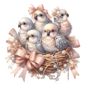 10 pajaritos en nido PNG – clipart de familia de pájaros pastel con lazos y perlas – lindo arte animal para decoración de guardería, baby shower o manualidades