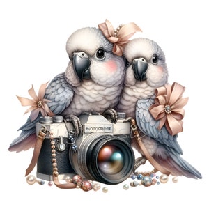 10 PNG Papageienpaare – Fotografen Vögel Cliparts für Karten, Wandkunst, Kamera Dekor, digitaler Download, druckbares Pastell Design