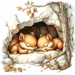 16 JPEG Scoiattoli addormentati nella grotta Clipart - Adorabili animali del bosco - Arte della foresta autunnale JPG