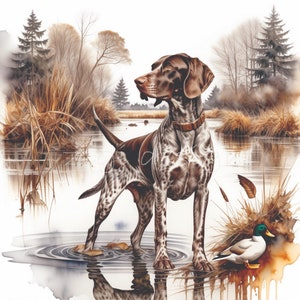 German Shorthaired Pointer Clipart Digital Papers 15 JPG Hunting Dog ...