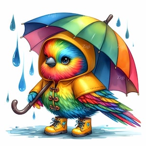 14 imágenes prediseñadas de pájaros arcoíris JPEG – Día lluvioso JPG – Lindo pájaro colorido con botas y paraguas para manualidades infantiles, pegatinas e impresiones de primavera