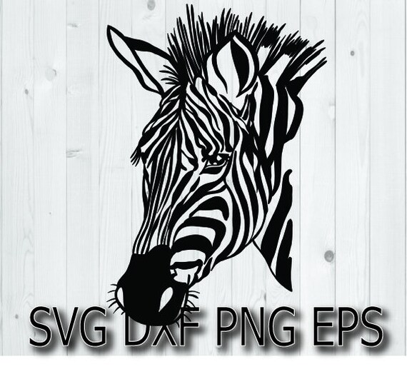 Download Zebra Svg Files For Cricut Etsy