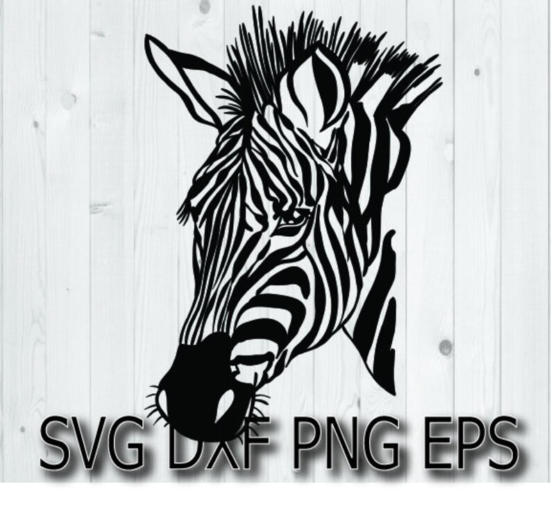 Download Zebra svg files for cricut | Etsy