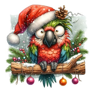 10 cliparts de perroquet de Noël PNG | Oiseau coloré en bonnet de Noel sur une branche enneigée, téléchargement numérique festif