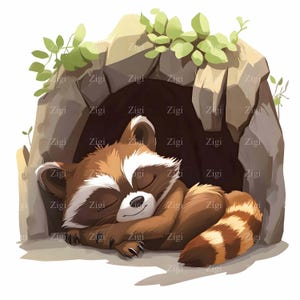 30 JPEG Guaxinim dormindo em caverna Clipart - Animal fofo da floresta - Arte pacífica da natureza JPG