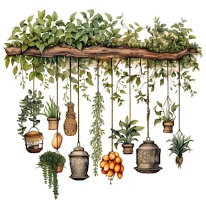 12 rustikale Hängepflanzen Clipart PNG, Vintage Kräuter- und Pflanzgefäß-Illustration, Boho Küche Dekor für das Basteln