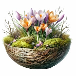 12 PNG de tazón de azafrán de primavera, clipart: nido de musgo con flores moradas y naranjas, descarga digital floral rústica