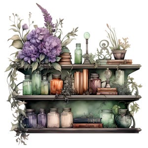 15 Prateleiras de Boticário de Ervas PNG Clipart – Livros Vintage, Garrafas de Vidro, Flores Roxas, Plantas, Decoração Mística