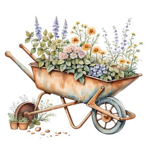 May include: A rusty metal wheelbarrow filled with a variety of colorful flowers, including purple, blue, yellow, and pink. The wheelbarrow is sitting on a white background.