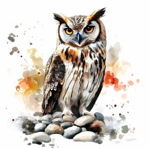 24 Clipart hibou JPEG – Aquarelle grand-duc JPG – Illustration d'oiseau majestueux pour des impressions sur la nature, des décorations de forêt et des journaux sur la faune