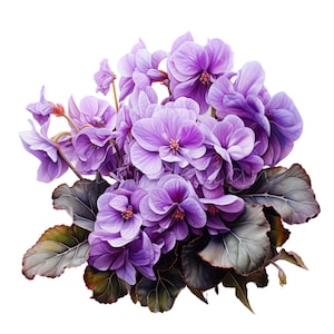 10 Fioletowy Geranium PNG Clipart, Realistyczne Fioletowe Kwiaty z Liśćmi, Kwiatowy Botaniczny Cyfrowy Pobierz Sztukę