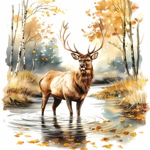 24 JPEG Escena de río otoñal – Ciervo de pie JPG clipart – Animal del bosque otoñal imprimible para decoración rústica del hogar, arte de pared de cabaña o amantes de la naturaleza