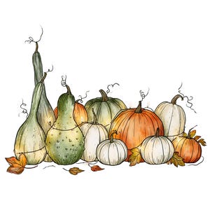 May include: A digital illustration of a collection of pumpkins and gourds in various shapes, sizes, and colours including orange, white, and muted green. The arrangement features thin, winding vines and scattered autumn leaves at the base.