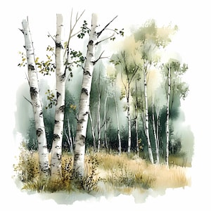 32 JPEG berkenbos clipart, serene natuur landschap illustratie, bosrijke digitale kunst JPG download