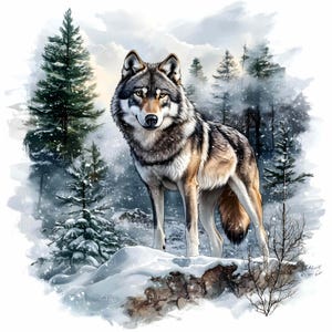 16 imágenes prediseñadas de lobo nevado JPEG - Lobo gris del bosque invernal JPG - Arte mural de vida silvestre para decoración de cabañas rústicas o imprimibles de bosques para la temporada de frío