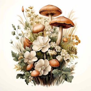 Ramo de 24 imágenes JPEG de hongos y flores con elementos botánicos silvestres, escena rústica de hongos forestales, descarga digital JPEG