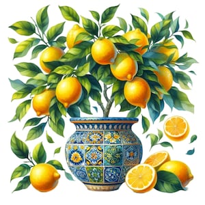12 imágenes prediseñadas de limonero PNG / Arte siciliano en maceta y árbol de cítricos / Planta de limón en acuarela / Decoración mediterránea imprimible PNG