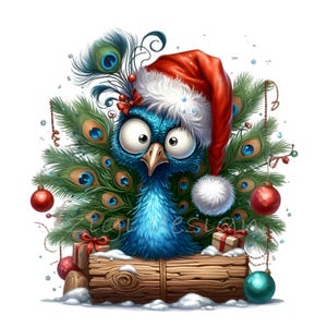 12 Clipart PNG drôle de paon de Noël, oiseau de bonnet de Noel avec ornements, cadeaux, neige et pin, téléchargement numérique de vacances