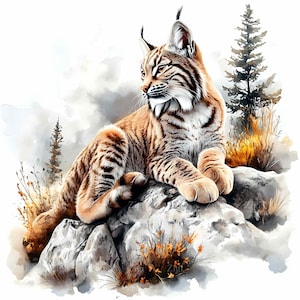 16 JPEG Lynx Wildlife Mountain JPG Clipart, lynx roux majestueux sur des rochers JPEG, Illustration numérique Nature forêt