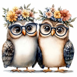 15 PNG Clipart di coppia di gufi floreali – Gufi carini con occhiali PNG – Arte di uccelli stravagante per decorazioni per la cameretta dei bambini, regali per insegnanti, biglietti e lavoretti