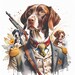 German Shorthaired Pointer Clipart Digital Papers 10 JPG Hunting Dog ...