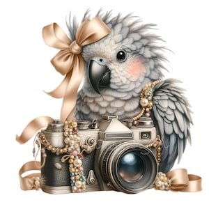10 elegante papegaai PNG-clipart, grijze papegaai met camera digitale kunst, vintage fotografie vogel, parellint sublimatie