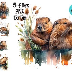 Capybara Rodent Beaver Drawing Pencil, beaver, white, mammal, animals png