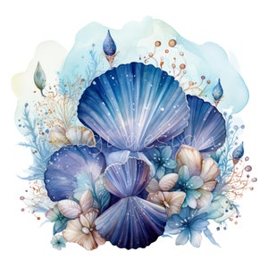 Watercolor Seashell PNG Clipart, 10 Ocean Starfish & Shell Art, Coastal ...