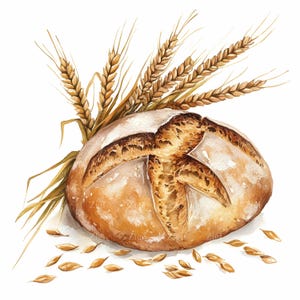 28 JPEG tarwebrood clipart JPEG, rustiek rond brood met gouden korrels en stengels, boerderij bakkerij digitale kunst print