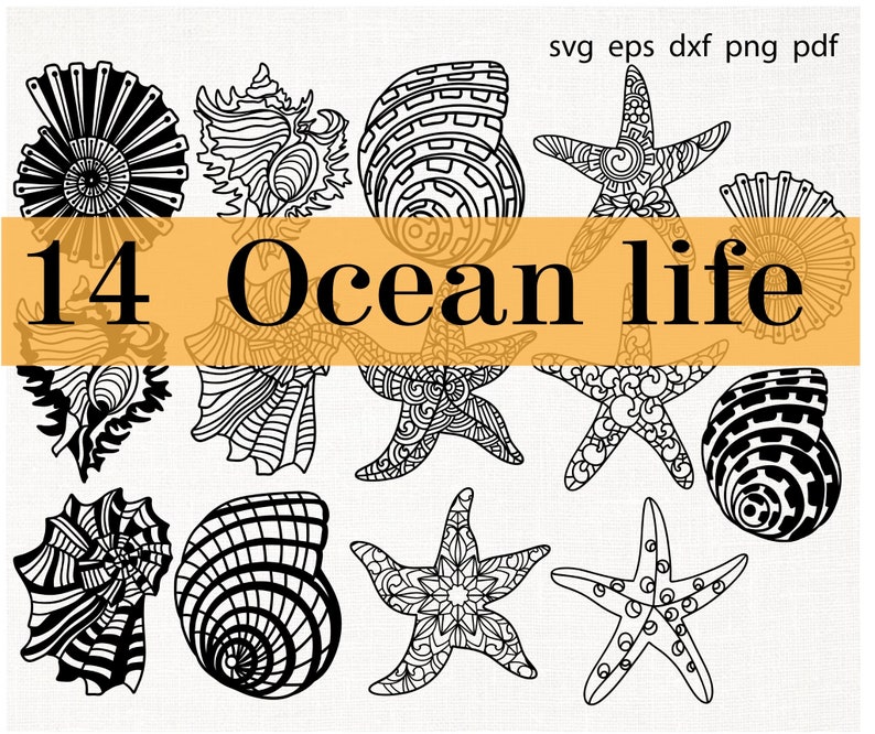 Download Sea Shell Svg Bundle Mandala Seashell Decor Beach Coastal House Ocean Starfish Nautical Lover Gift Zentangle Logo Sign Porch For Cricut Dxf Art Collectibles Drawing Illustration 330 Co Il
