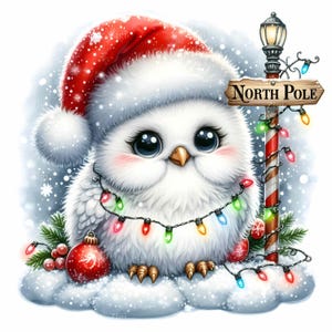 12 Illustration de hibou de Noël JPEG - Images clipart JPG mignonnes - Oiseau d'hiver avec des lumières pour des cartes de vœux, des travaux manuels pour enfants ou une décoration murale
