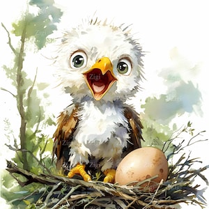 20 imágenes prediseñadas de águila bebé en formato JPG: ilustración de nido y huevo: arte JPEG de pájaro lindo