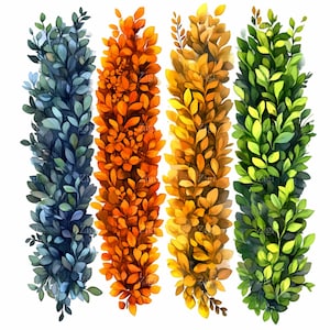 14 bordes de hojas de boj en acuarela PNG, imágenes prediseñadas de vegetación de temporada, descarga digital de follaje de otoño e invierno