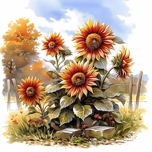 28 JPEG Clipart de campo de girassóis, Cena de girassóis de outono JPEG, Ilustração de jardim rústico, Arte floral de outono, Imagem digital da natureza