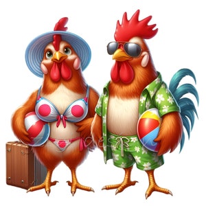 15 Gallo y gallina en la playa Clipart – Vacaciones divertidas PNG – Pollos de dibujos animados en trajes de baño de verano