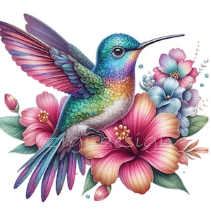 Imágenes prediseñadas de colibrí PNG, 12 imágenes prediseñadas de pájaros de acuarela, arte de la pared de la guardería, diario basura, fabricación de tarjetas, etiqueta de regalo, camisa de maestro, imágenes imprimibles