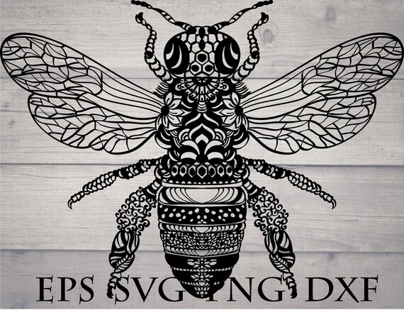 Download Bee Svg Insect Svg Mandala Svg Intricate Svg Etsy