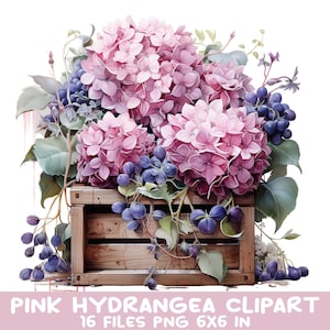 Rosa Hortensien Clipart - 16 Aquarell Hortensien und Trauben in der rustikalen Kiste - 16 PNG-Dateien für Kunsthandwerk und Dekor