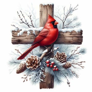 19 JPEG Cardinale invernale – Croce rustica JPG clipart – Uccello rosso con pigne e neve per lavoretti commemorativi, biglietti di condoglianze o decorazioni
