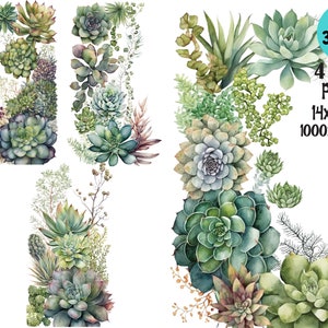 Succulents Border Clipart PNG Watercolor Cactus Sublimation Digital Downloads