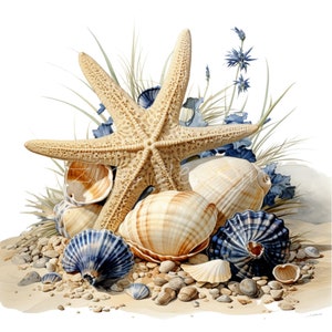 Zeester clipart 10 png, aquarel schelpen onderwater oceaan strand onder zee illustratie kaarten maken, junk Journal