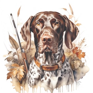 以下が含まれることがあります： 茶色と白のジャーマン・ショートヘアード・ポインターの犬が、茶色の革の首輪をつけて、茶色と緑の葉っぱのフィールドに立っています。犬は直接見ています。