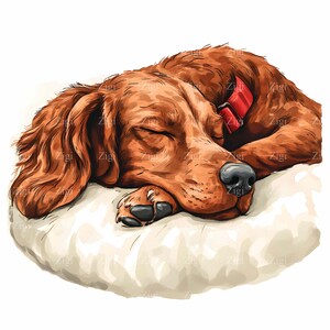 16 JPEG Sleeping Dog Clipart - Adorable Brown Dog Resting on Soft Pillow with Red Collar, Pet Illustration, JPG Digital Download