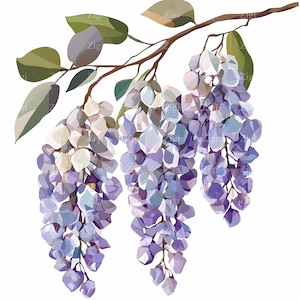 29 JPEG Wisteria Clipart JPG, cascata di fiori viola cristallini su ramo con foglie, elegante arte floreale stampabile